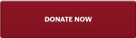 donate now